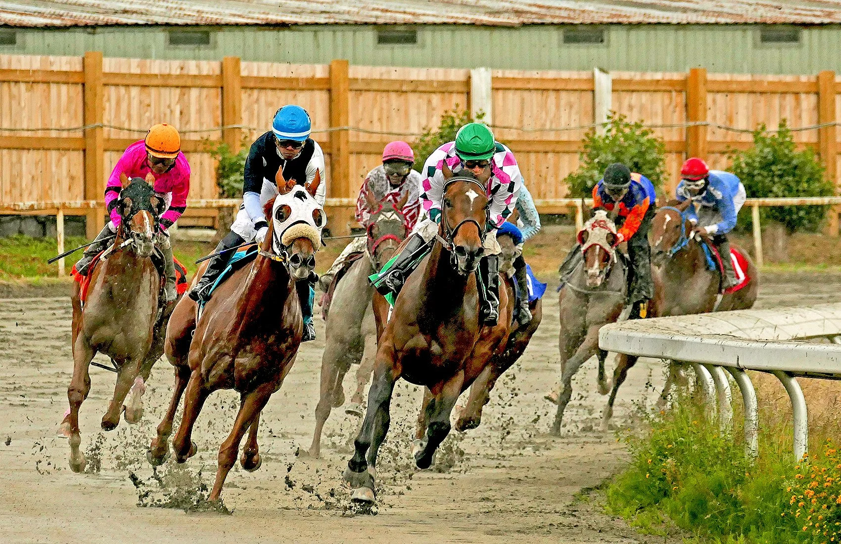 BC Racebook Newsletter - April 20, 2024