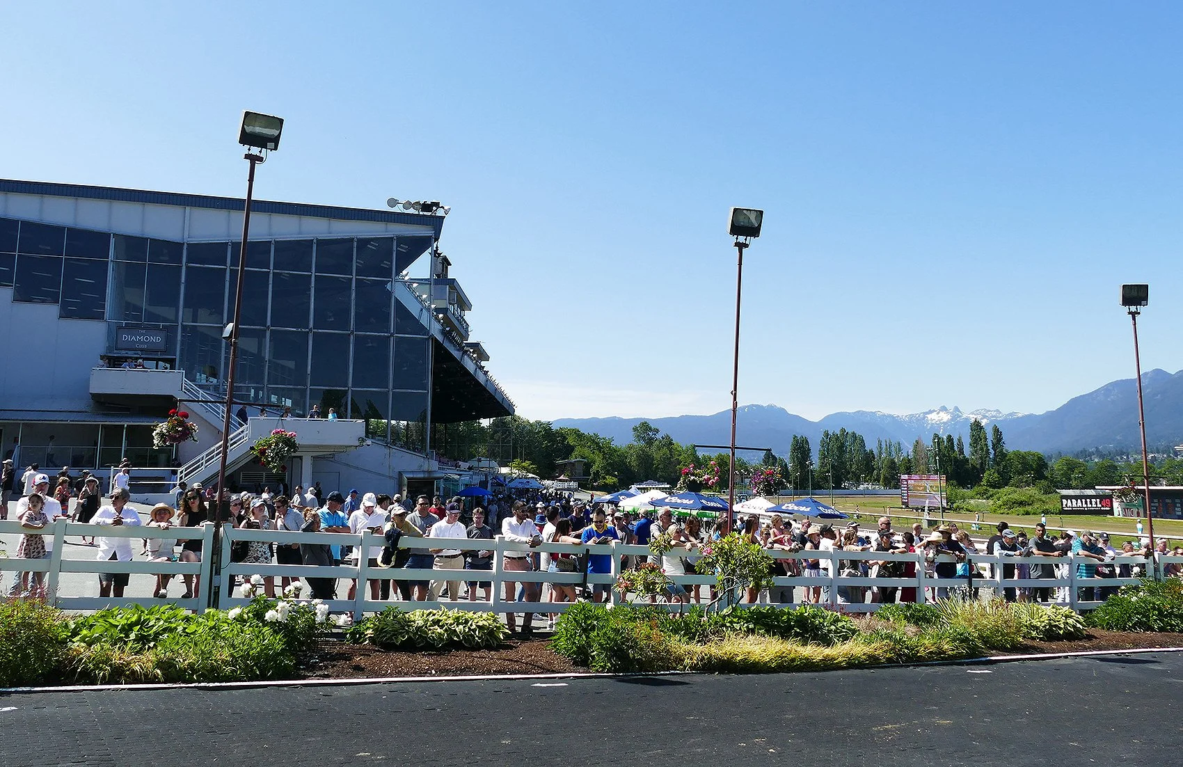 Hastings Racecourse 2024 Live Racing Schedule