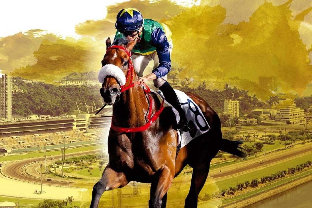 [FREE PROGRAMS] Hong Kong Sha Tin - May 29, 2024