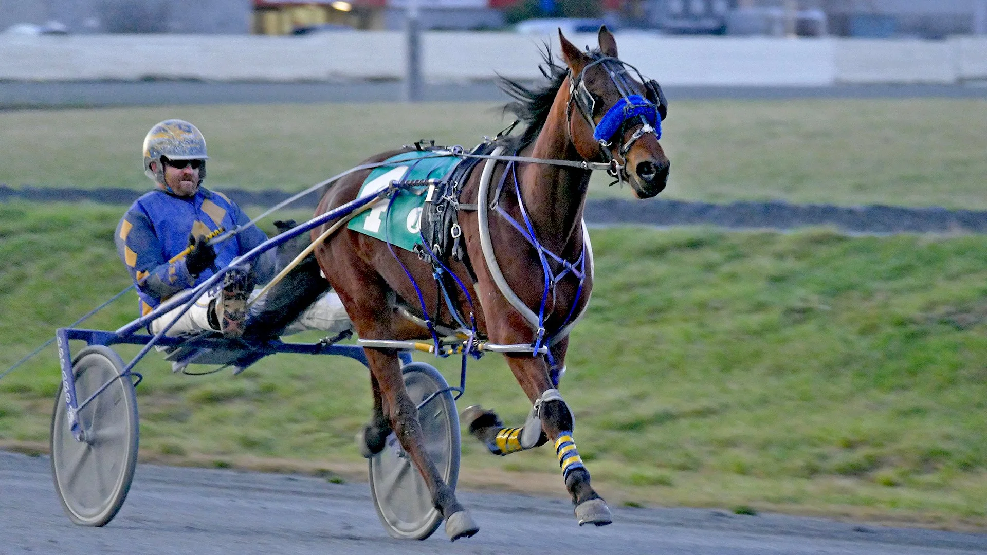 BC Racebook Newsletter - September 24, 2024