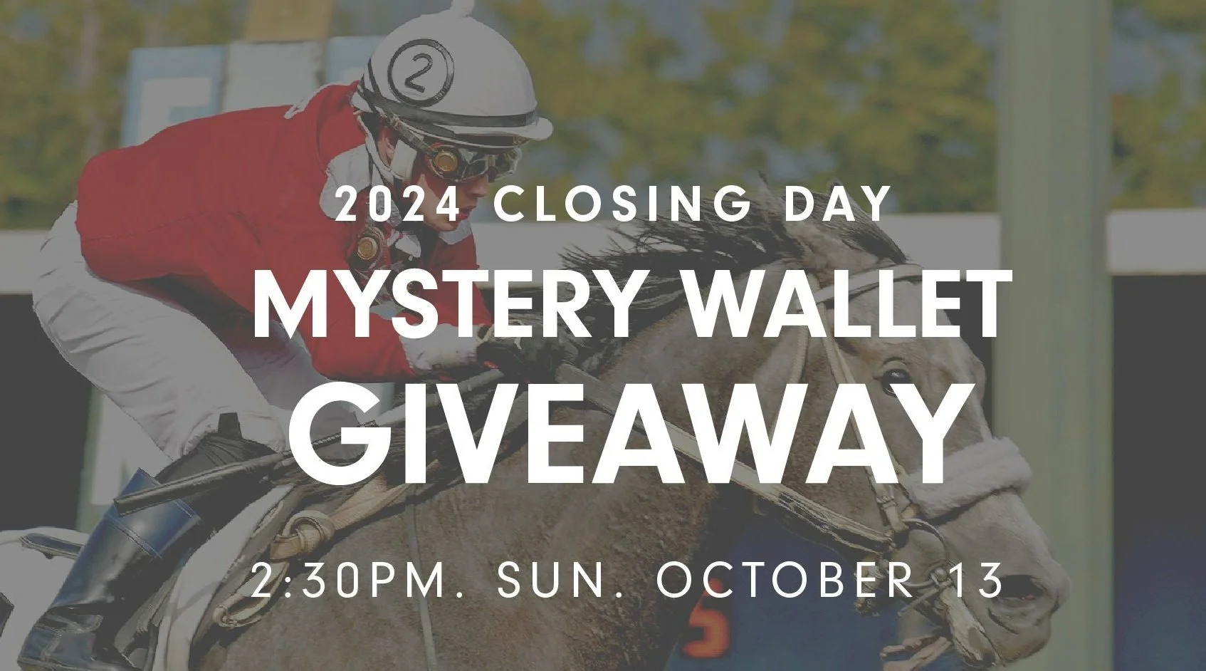 [Hastings Racecourse] 2024 Closing Day - Win up to $100 Voucher!