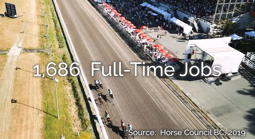 [Hastings Racecourse] BC Racing Industry Promo - Thank you for your support