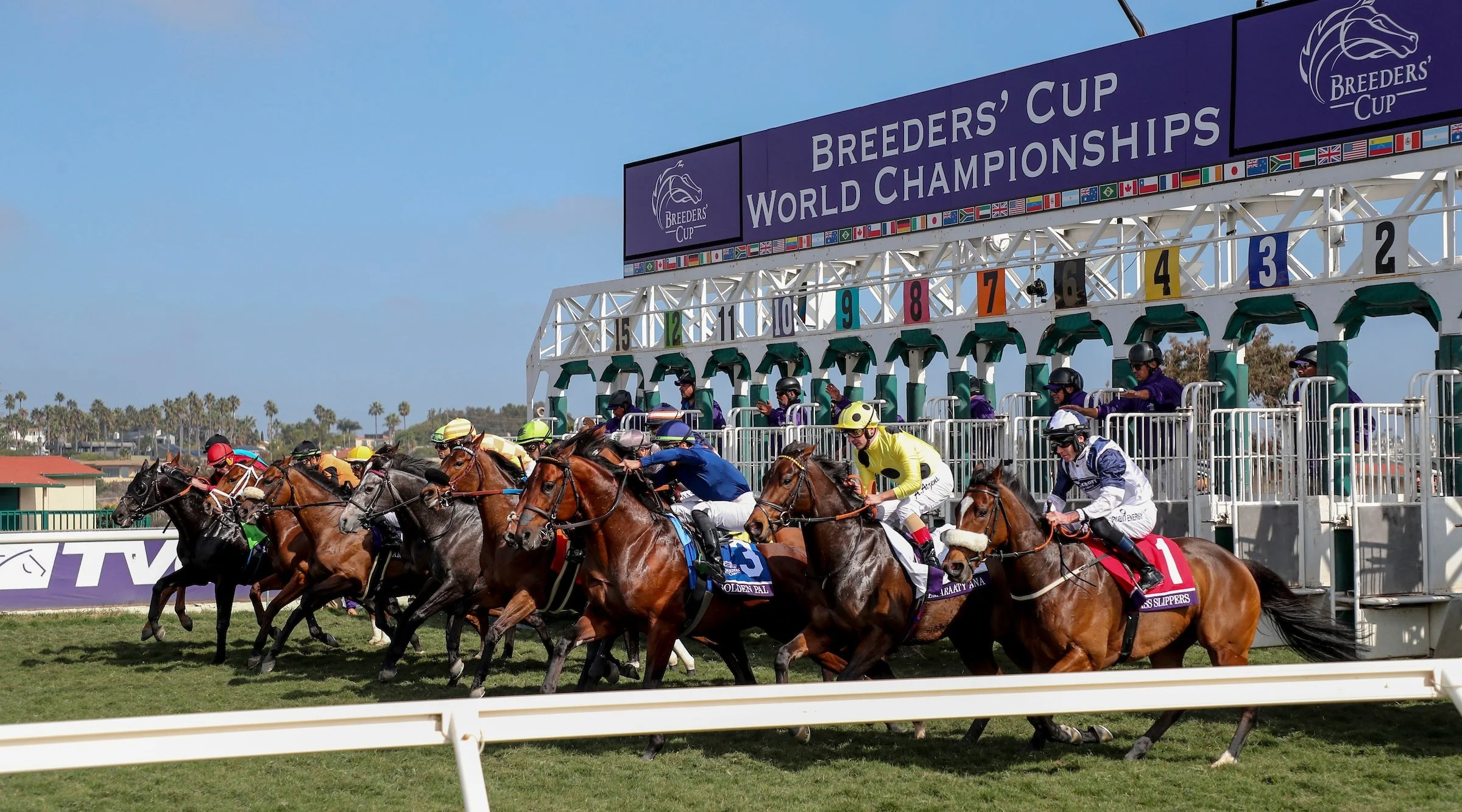 [Breeders' Cup] Handicapping Contest - Saturday, November 2, 2024