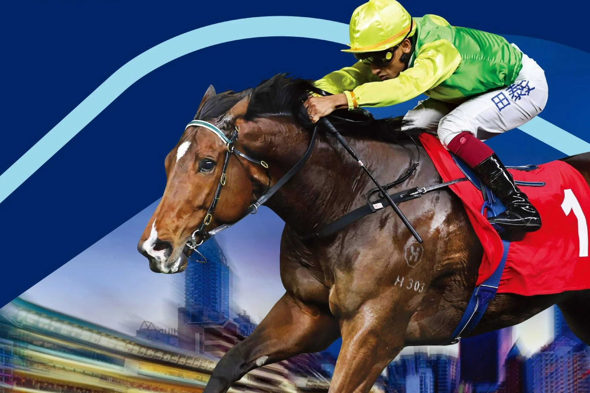 [FREE PROGRAMS] Hong Kong Happy Valley - October 30, 2024