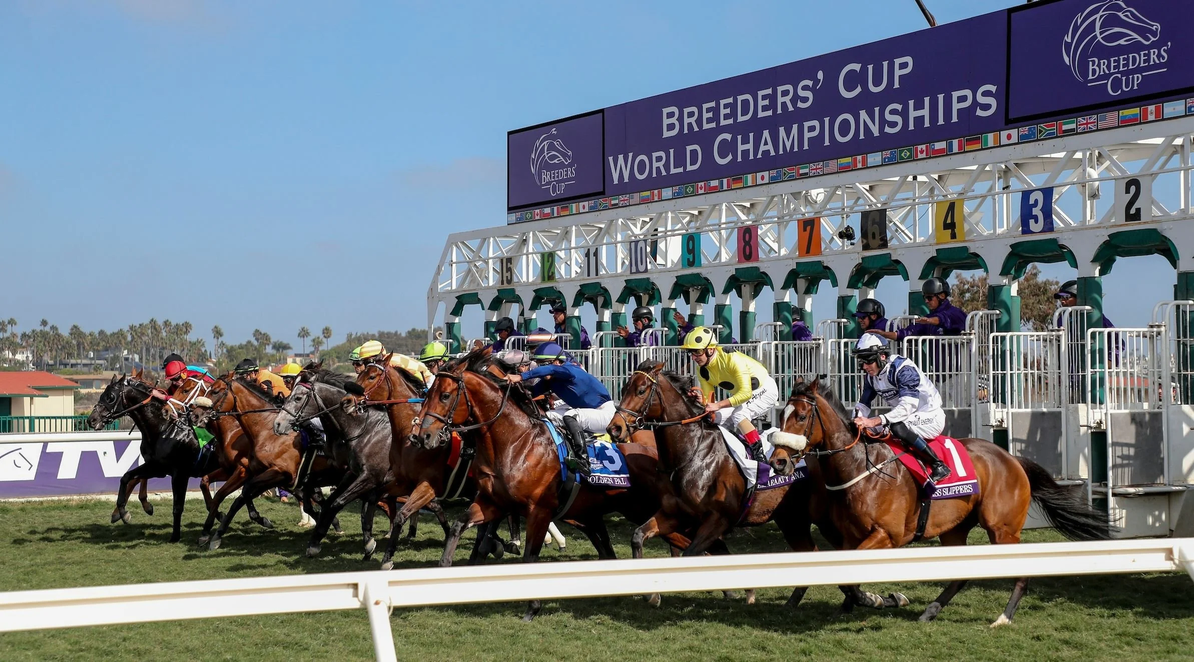 BC Racebook Newsletter - October 30, 2024