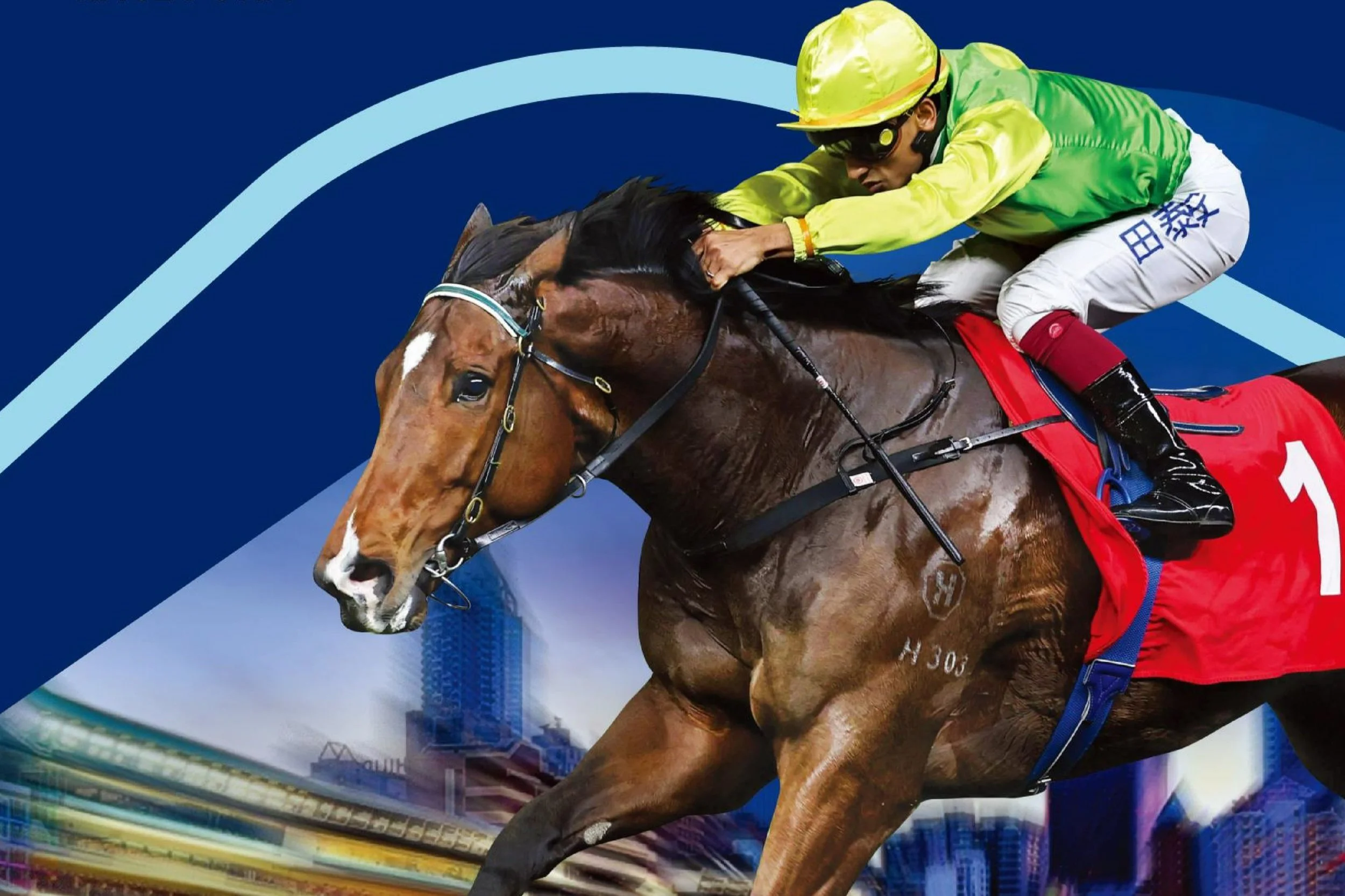 [FREE PROGRAMS] Hong Kong Happy Valley - November 13, 2024
