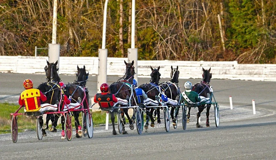 Live Racing at Fraser Downs Cancelled - December 12 &amp; 13