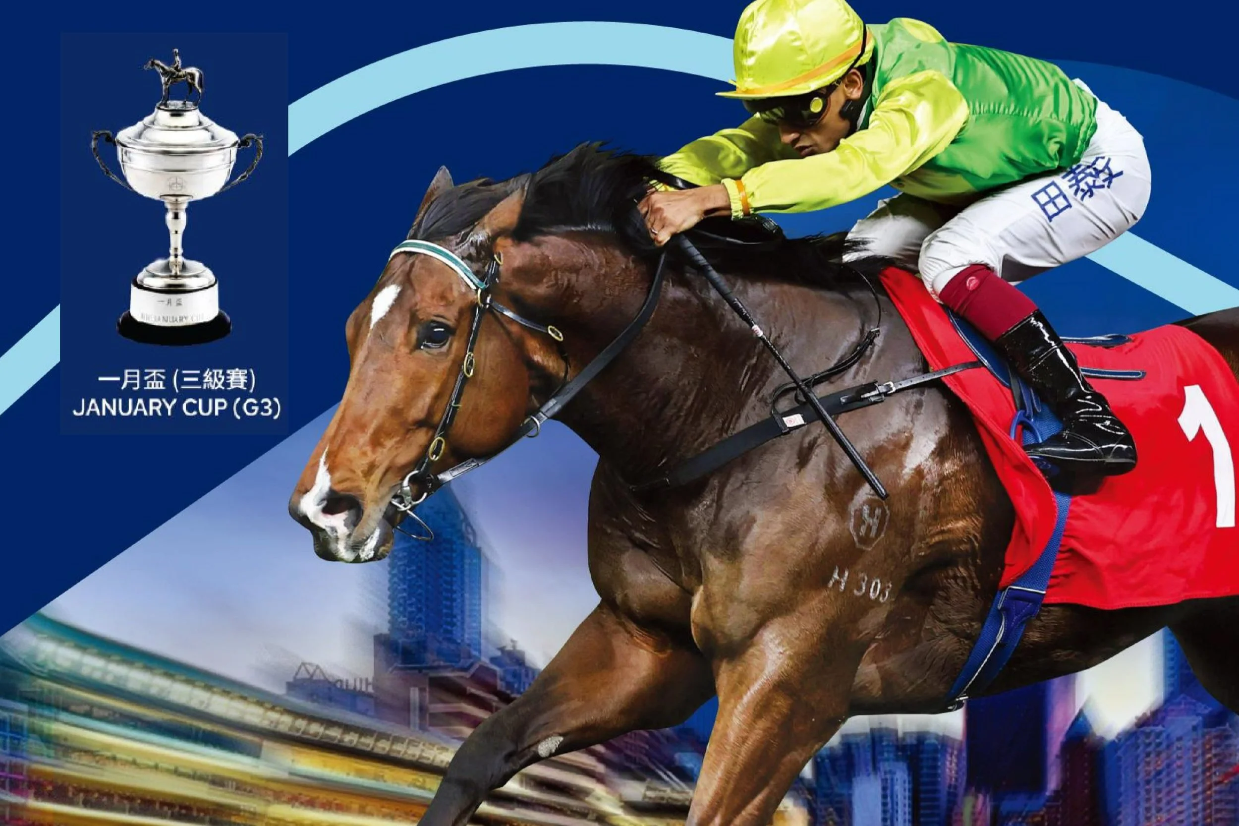 [FREE PROGRAMS] Hong Kong Happy Valley - January 8, 2025