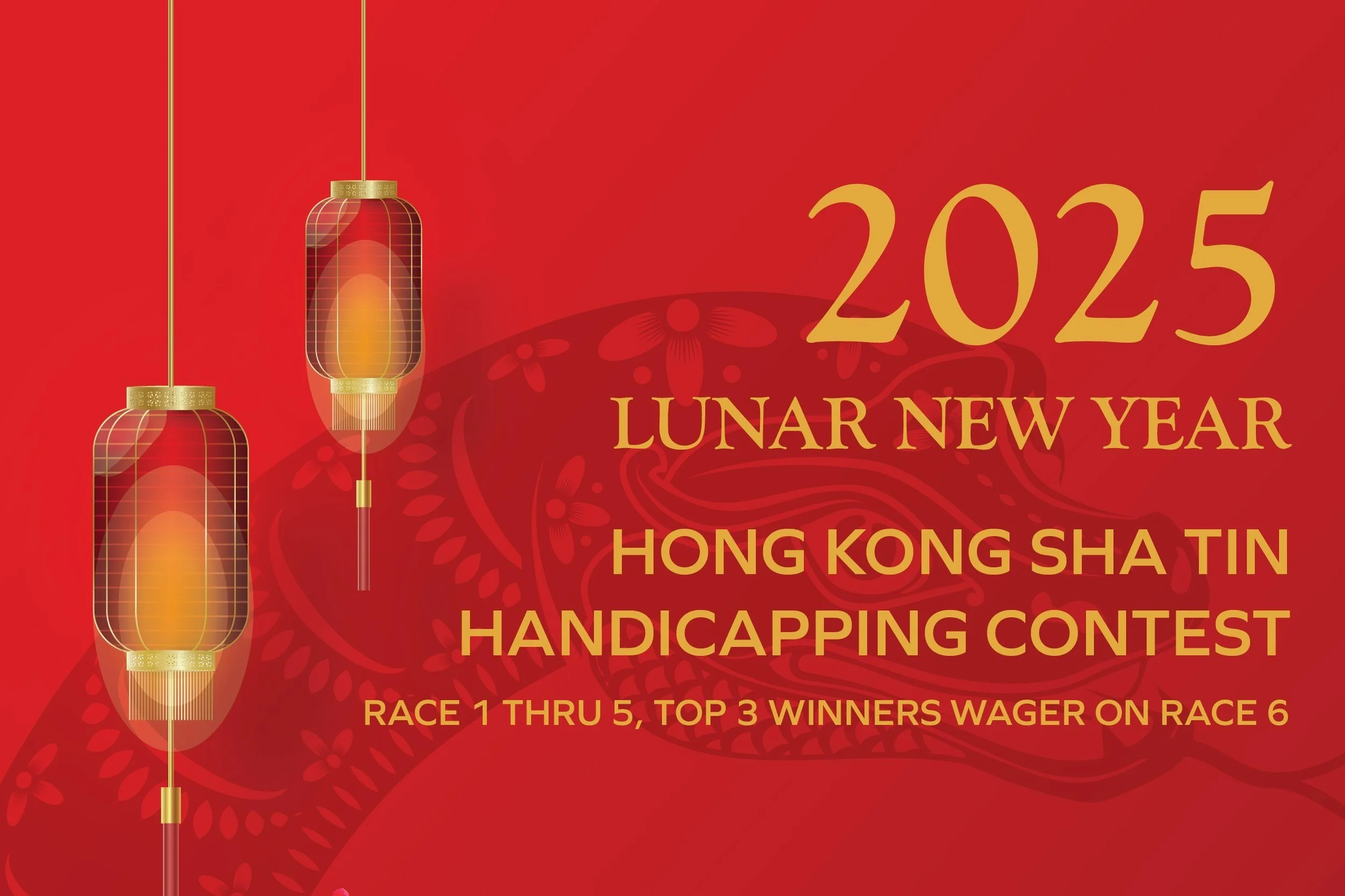 [Handicapping contest] Sha Tin - 2025 Lunar New Year