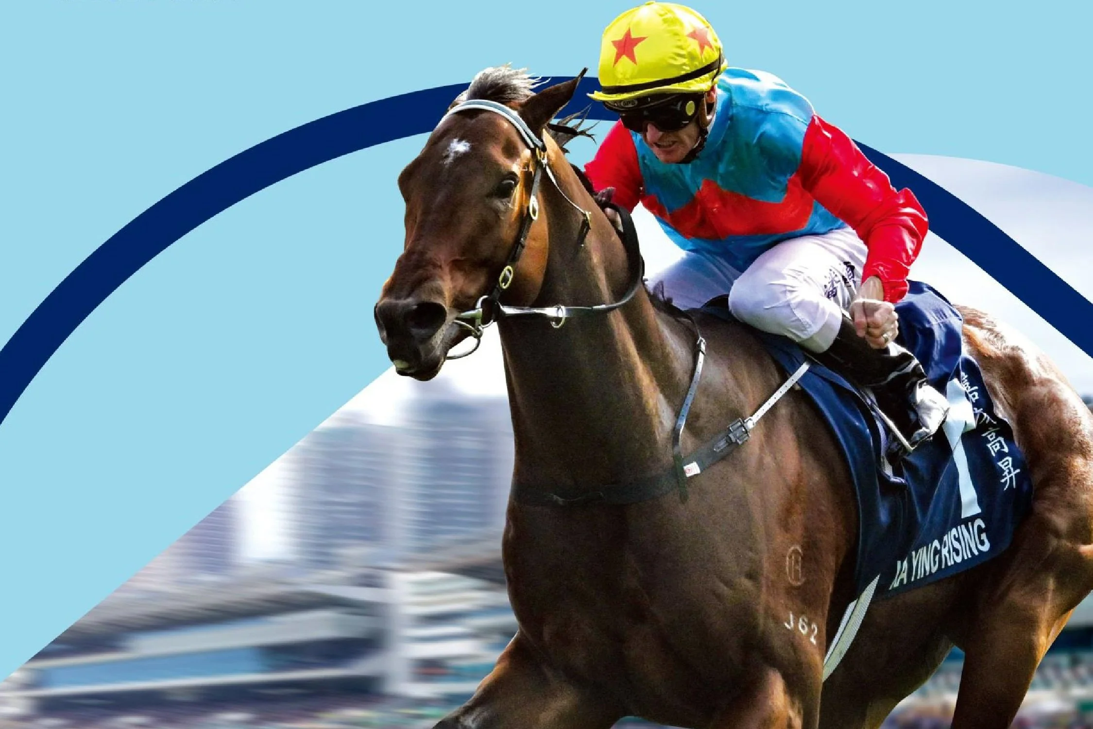 [FREE PROGRAMS] Hong Kong Sha Tin - February 15, 2025