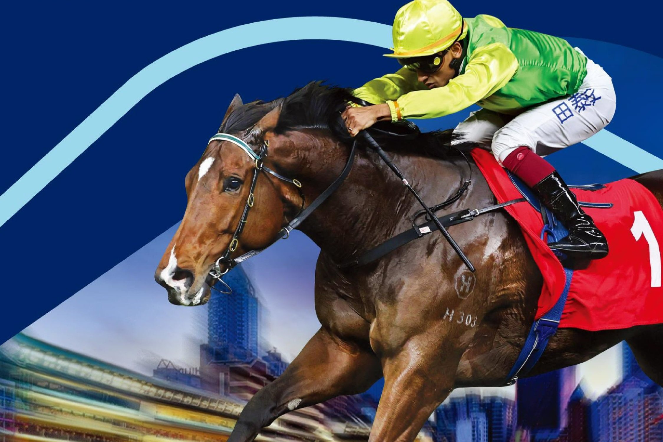 [FREE PROGRAMS] Hong Kong Happy Valley - February 19, 2025