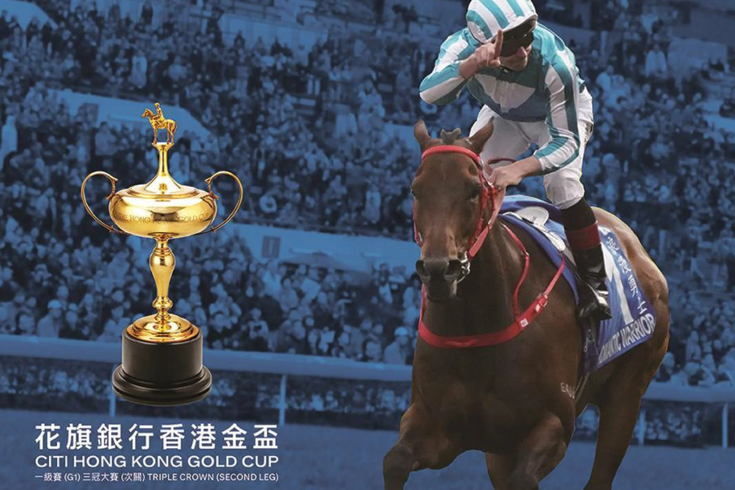 [FREE PROGRAMS] Hong Kong Sha Tin - February 22, 2025