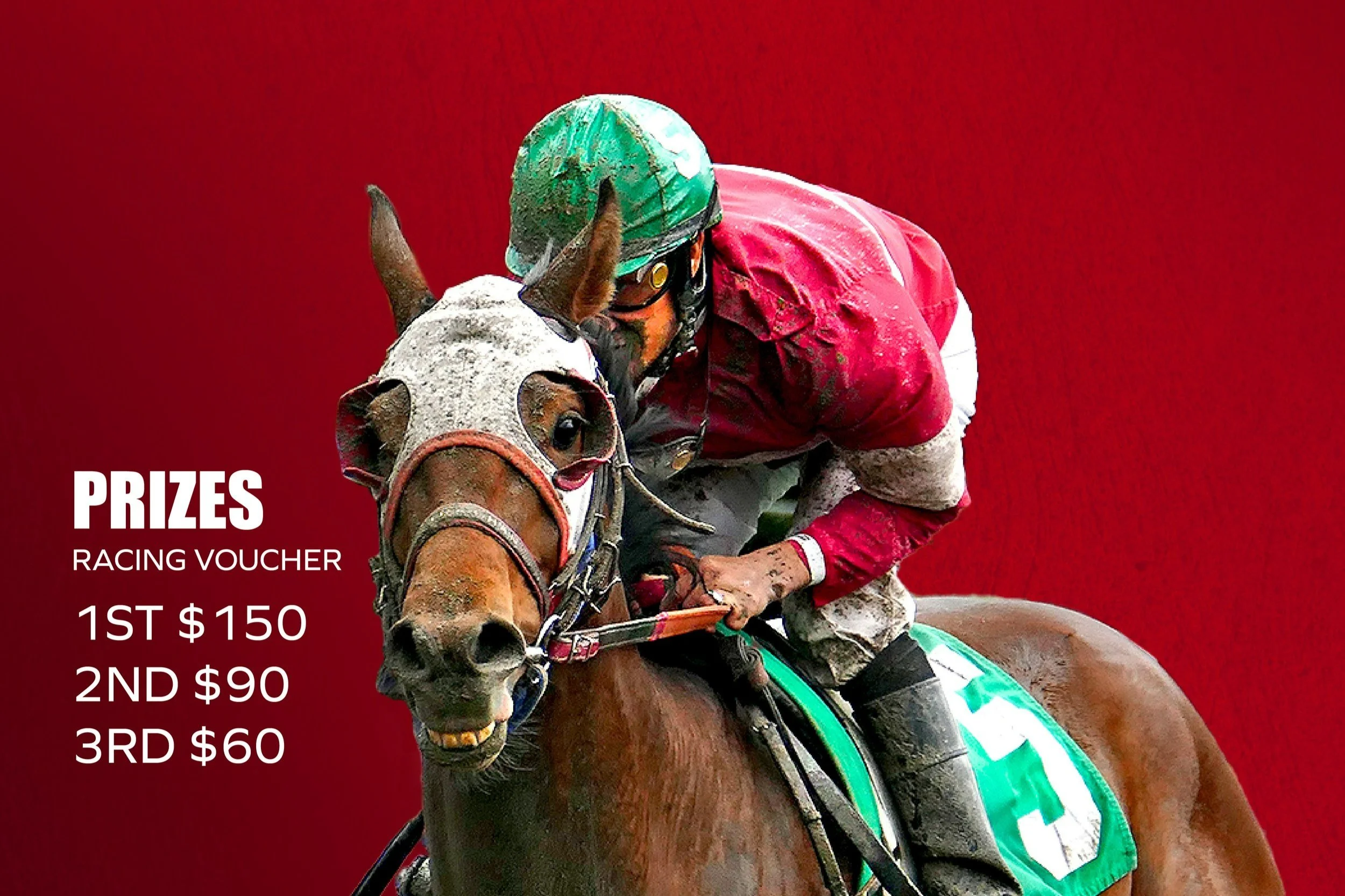 [Handicapping Contest] Aqueduct &amp; Gulfstream - March 1, 2025