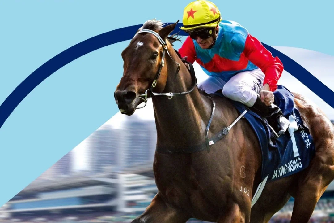 [FREE PROGRAMS] Hong Kong Sha Tin - March 8, 2025