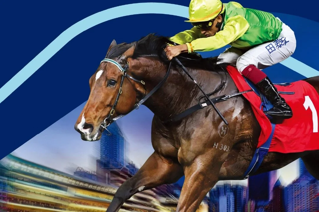 [FREE PROGRAMS] Happy Valley - March 19, 2025