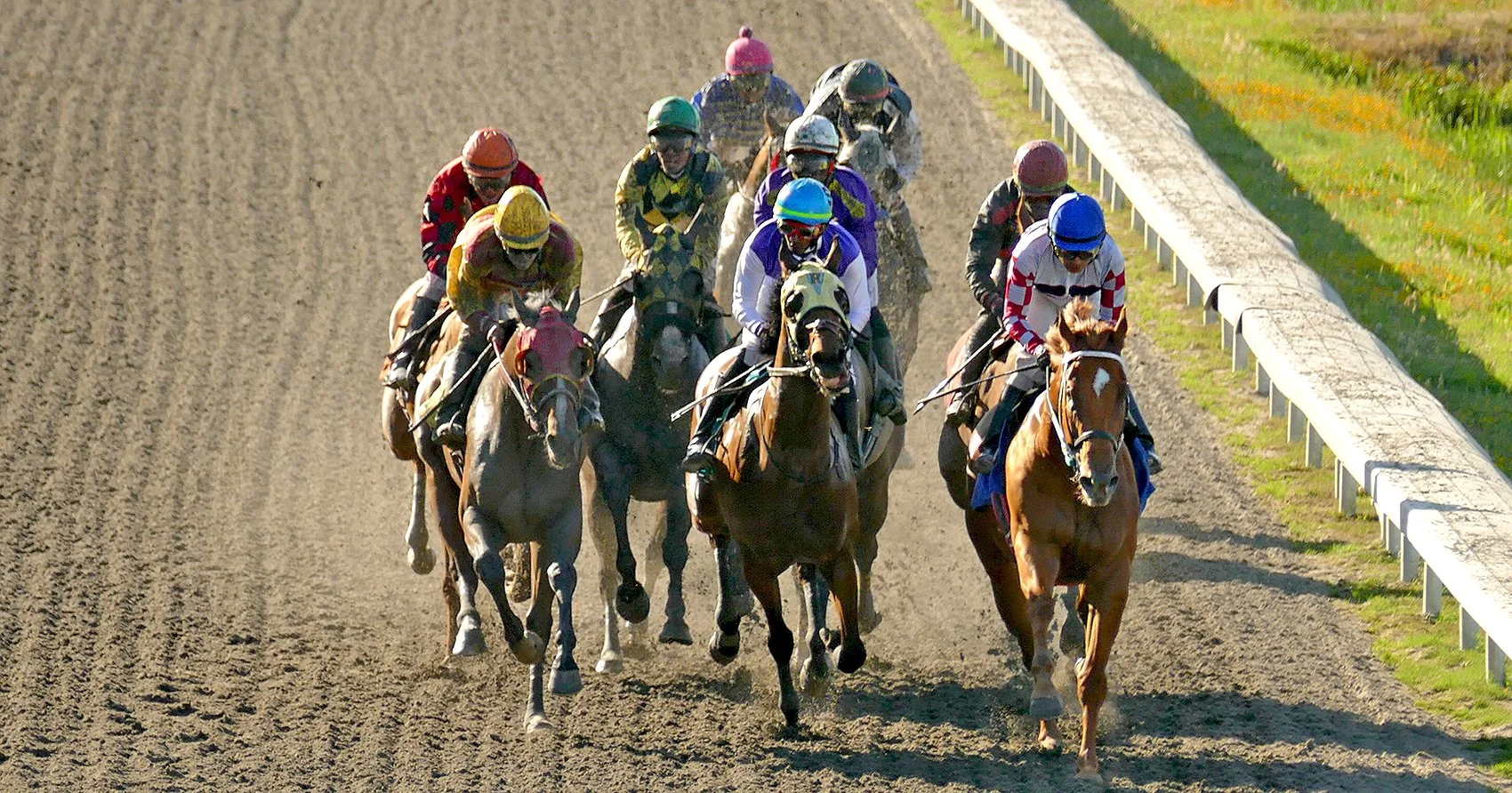 Live Racing Returns to Hastings Racecourse on Saturday, May 3 to kick off the 2025 Season