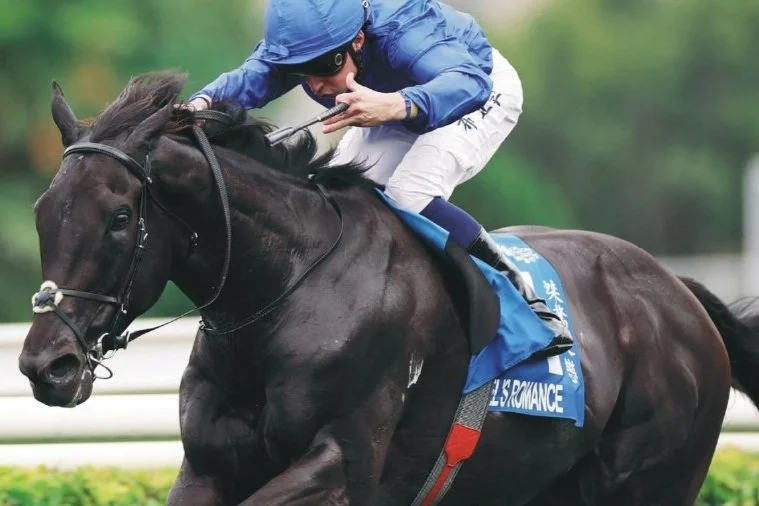 [FREE PROGRAMS] Hong Kong Sha Tin - May 24, 2025