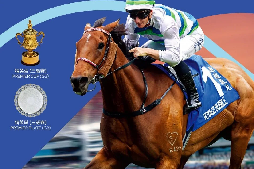 [FREE PROGRAMS] HONG KONG SHA TIN - JUNE 22, 2025