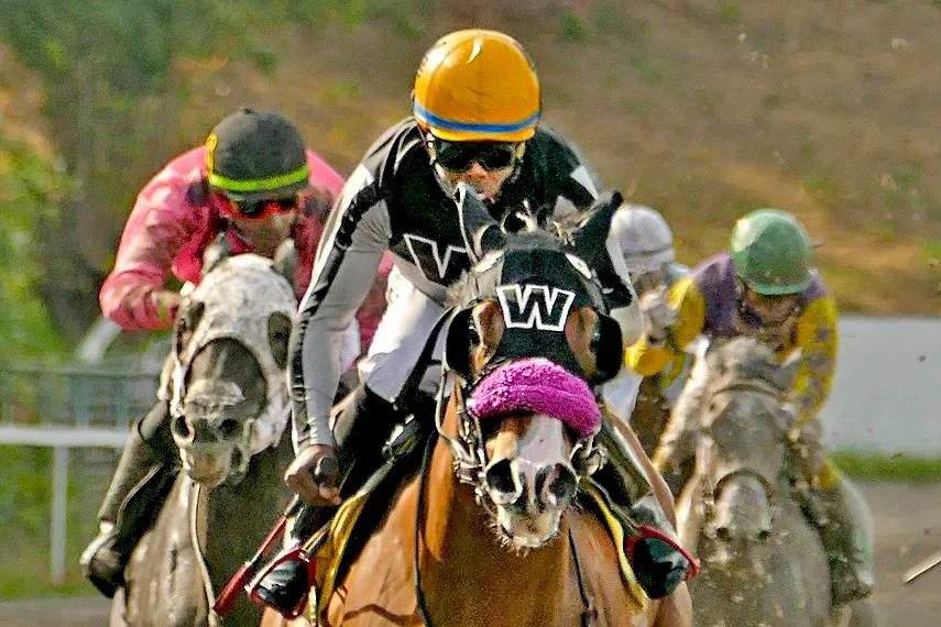 FREE HANDICAPPING CONTEST - AUGUST 30