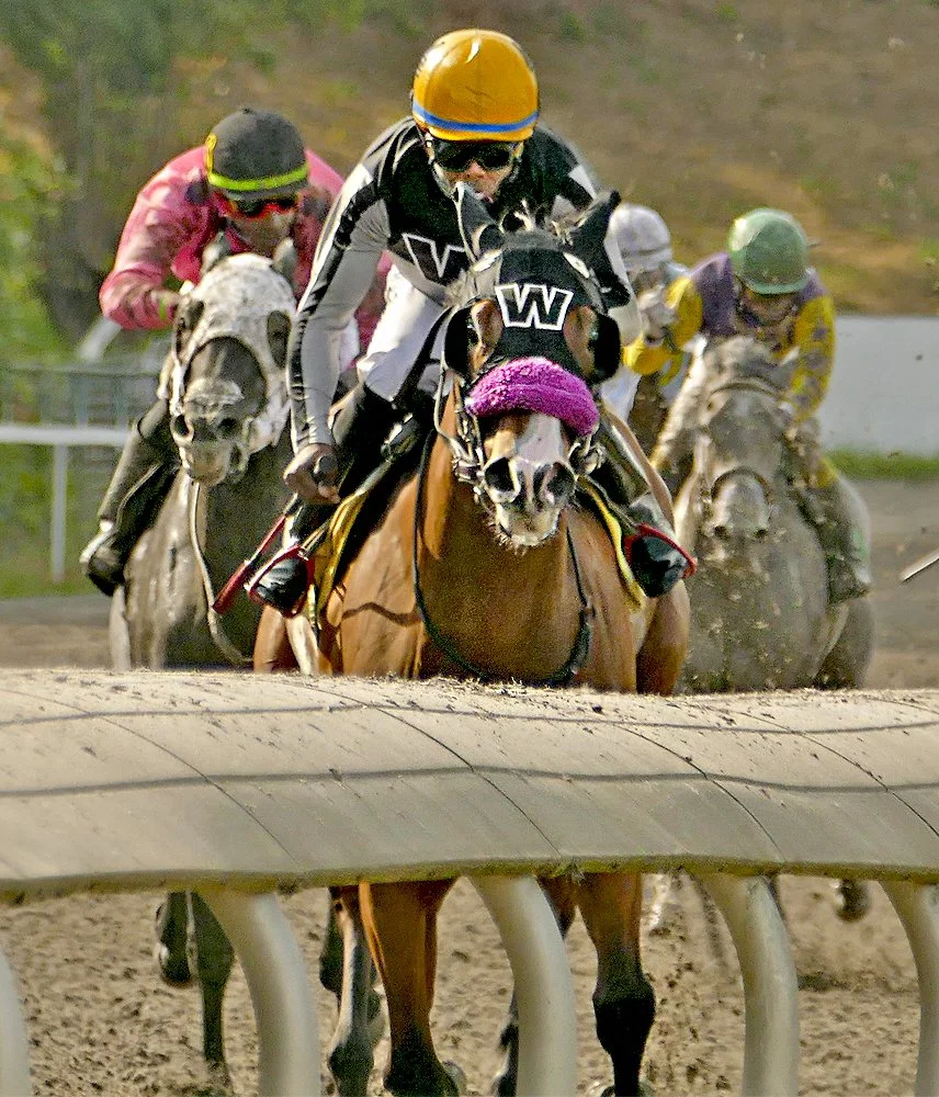 O.Aug 4, 2025...Race6...Chi Chi Time...Winner..,K Powell up...photo Michael Bye.jpg