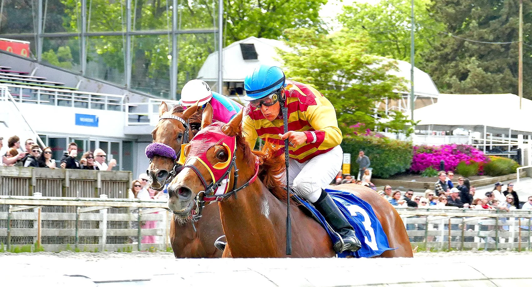 May 11, 2025 Race4...Above Average..Winner...A Perez Up...photo Michael Bye.jpg