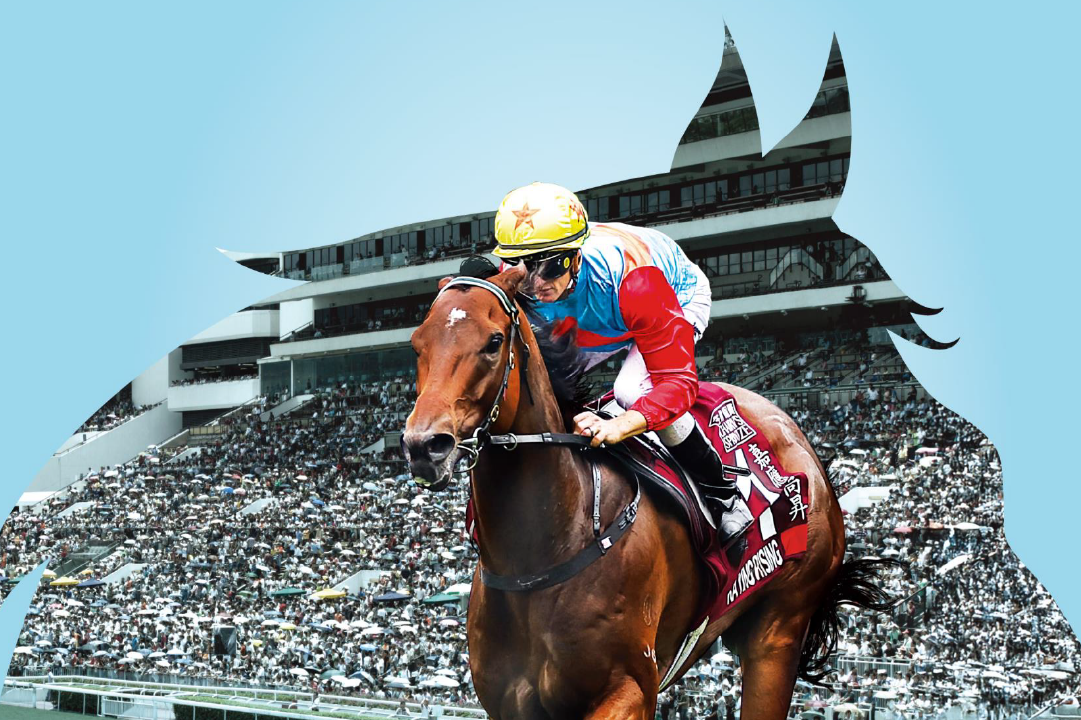[FREE PROGRAMS] Sha Tin - November 29