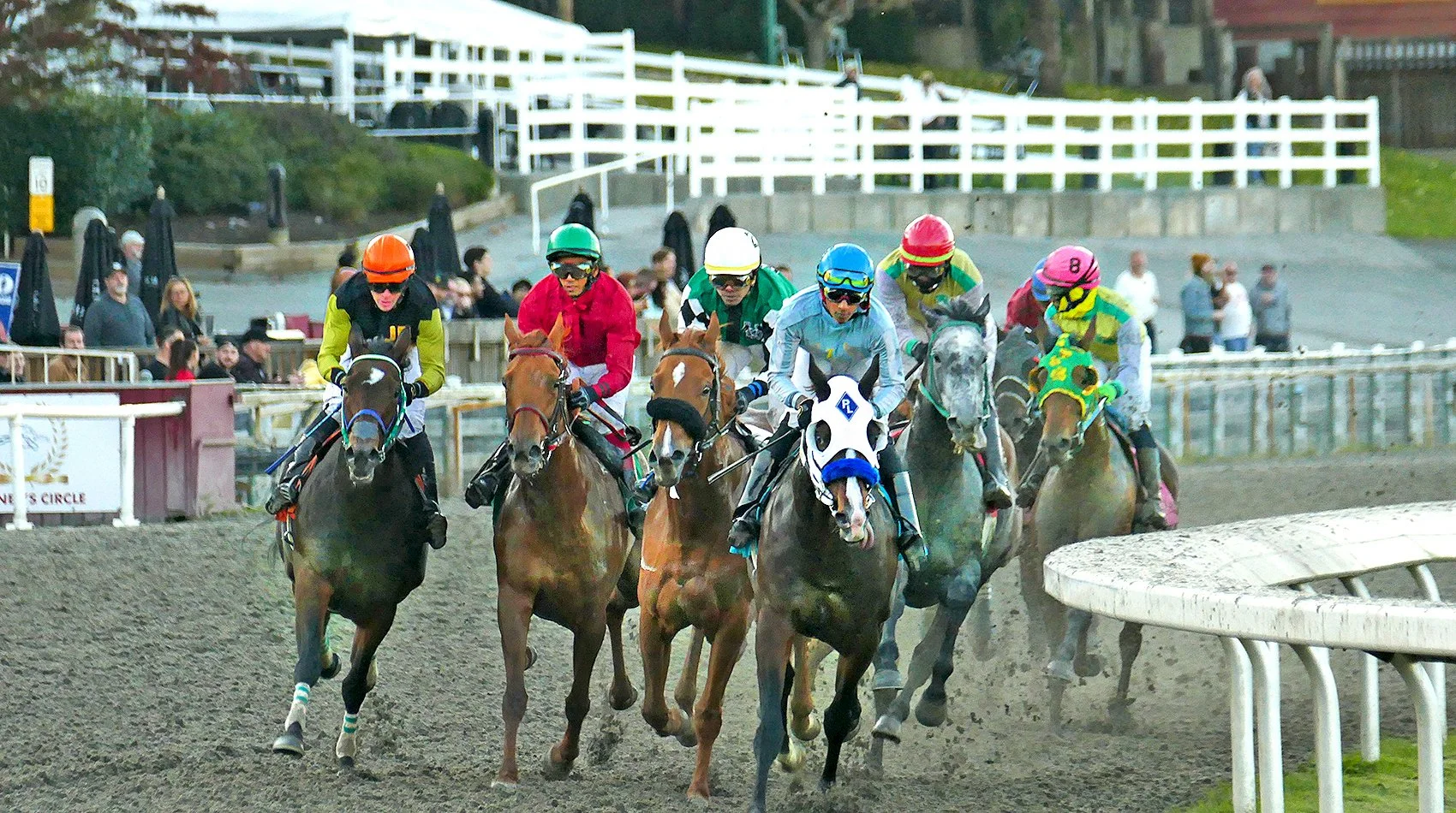 Boxing Day Handicapping Contest at Hastings Racecourse