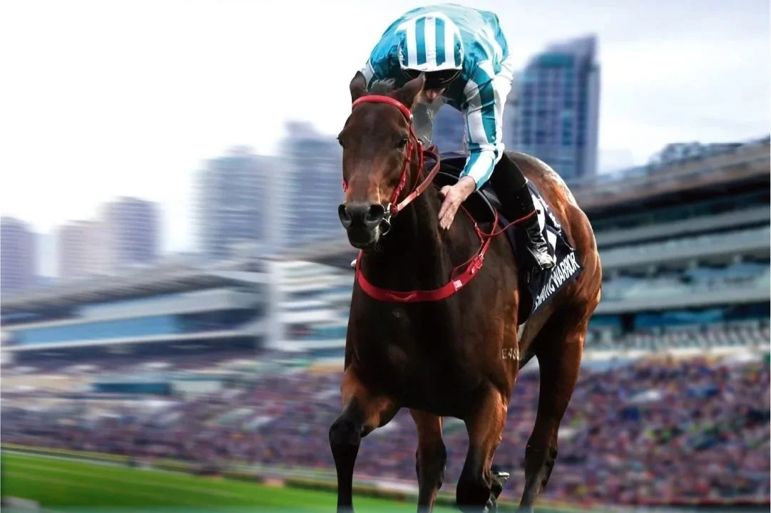 [FREE PROGRAMS] Sha Tin - December 19, 2025