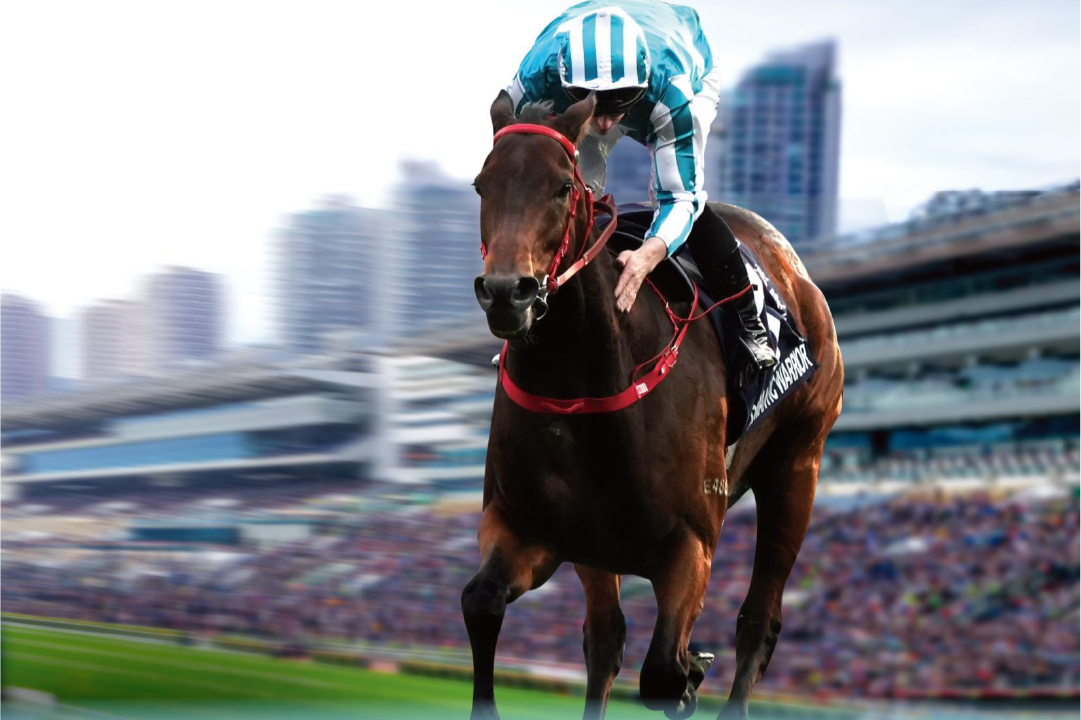 [FREE PROGRAMS] Sha Tin - December 26, 2025