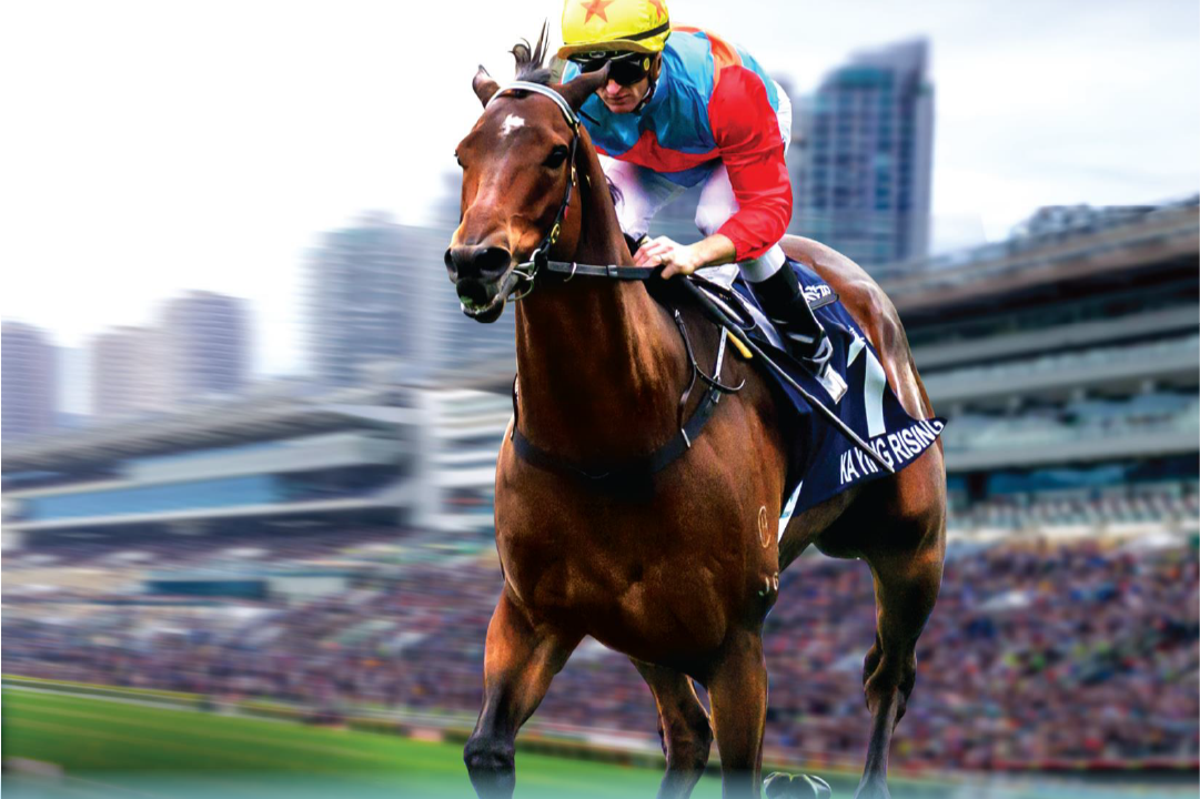 [FREE PROGRAMS] Sha Tin - January 3, 2026