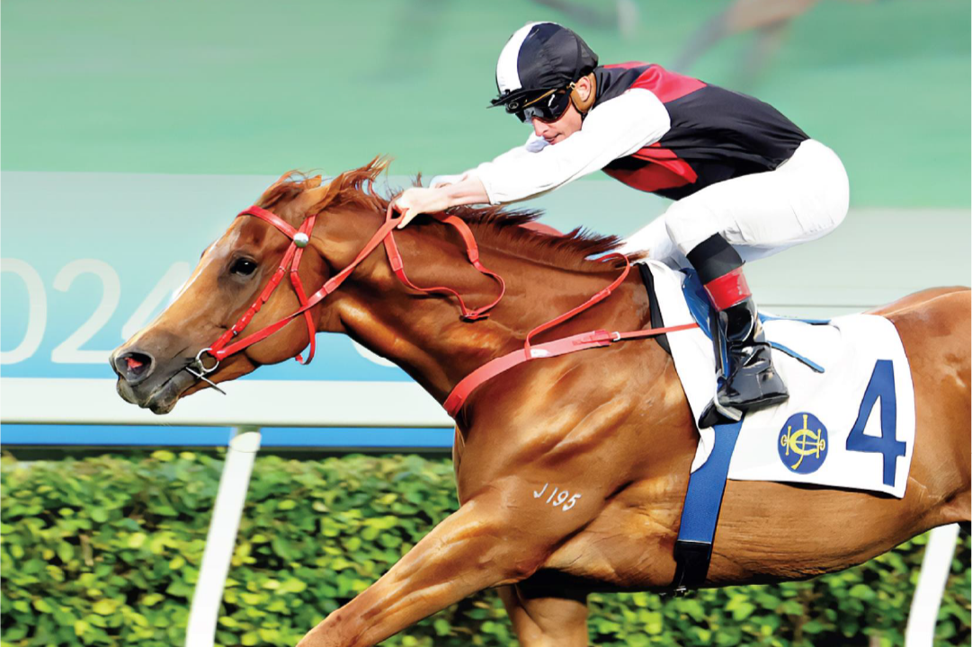 [FREE PROGRAMS] Sha Tin - January 10, 2025