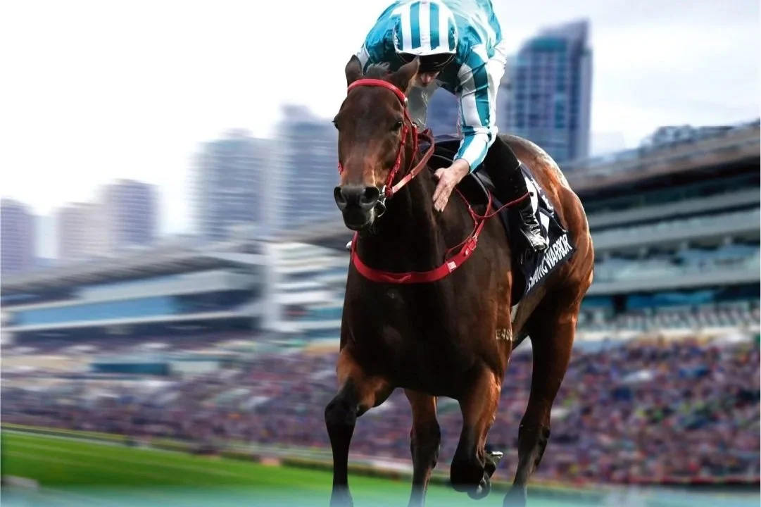 [FREE PROGRAMS] Sha Tin - January 17, 2026