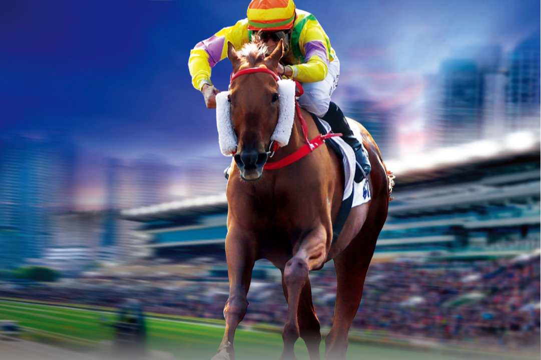 [FREE PROGRAMS] Sha Tin - January 21, 2025