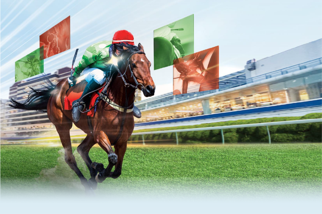 [FREE PROGRAMS] Happy Valley - February 4, 2026