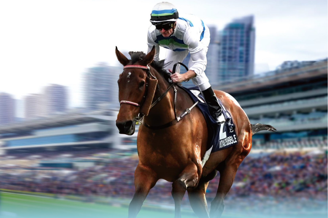 [FREE PROGRAMS] Sha Tin - February 7, 2026