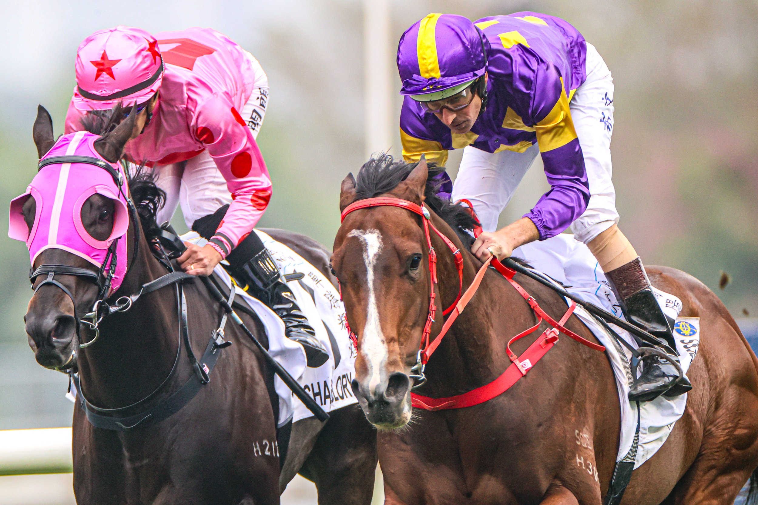 Sha Tin - Ka Ying Rising Goes for 18