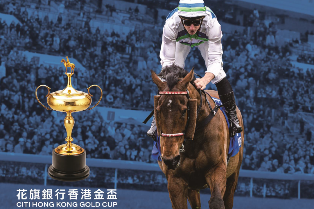 [FREE PROGRAMS] Sha Tin - February 28, 2026