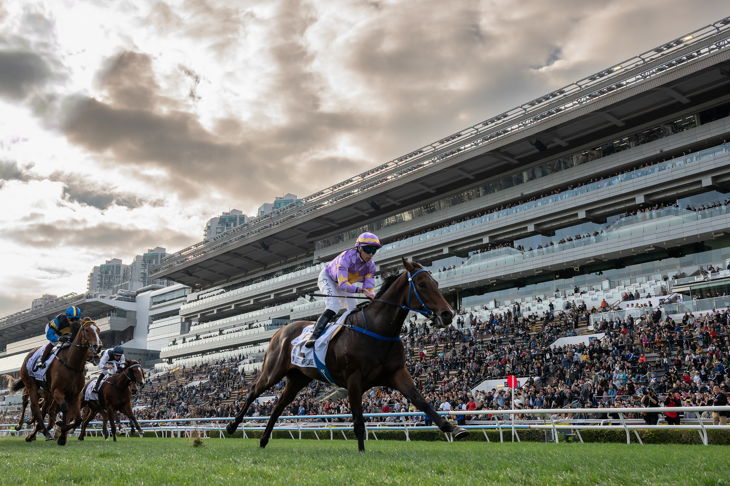 Hong Kong Gold Cup - Double The Stakes Action
