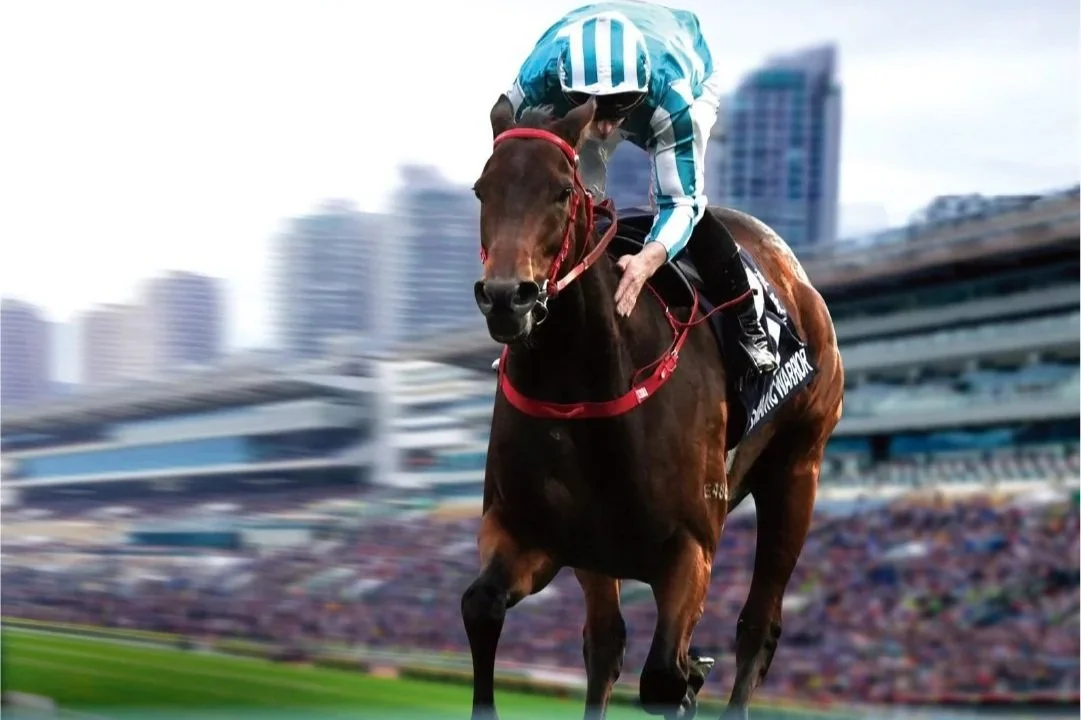 [FREE PROGRAMS] Sha Tin - March 28