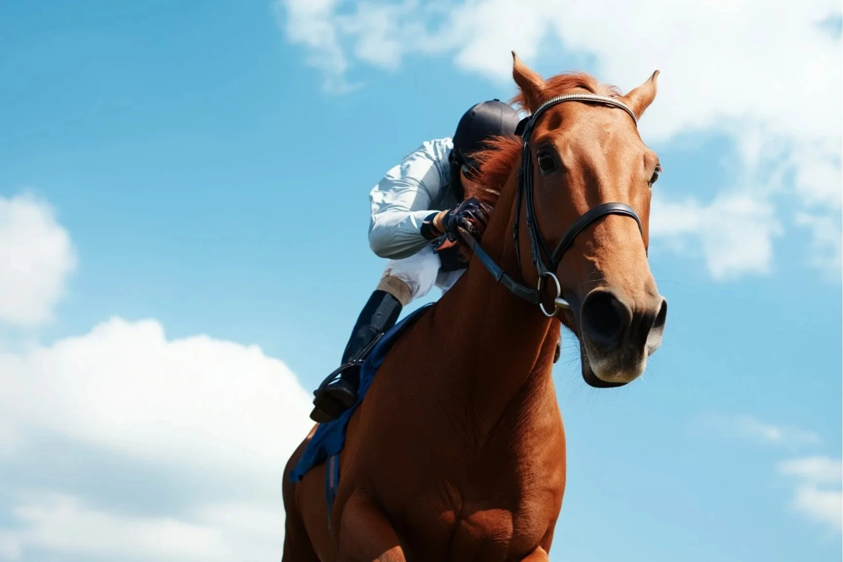 Handicapping Contest (April 4) - Hastings, Starlight, River Rock, Elements Casino Surrey