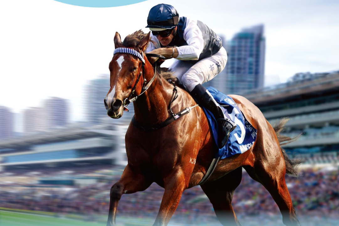 [FREE PROGRAMS] Sha Tin - April 5