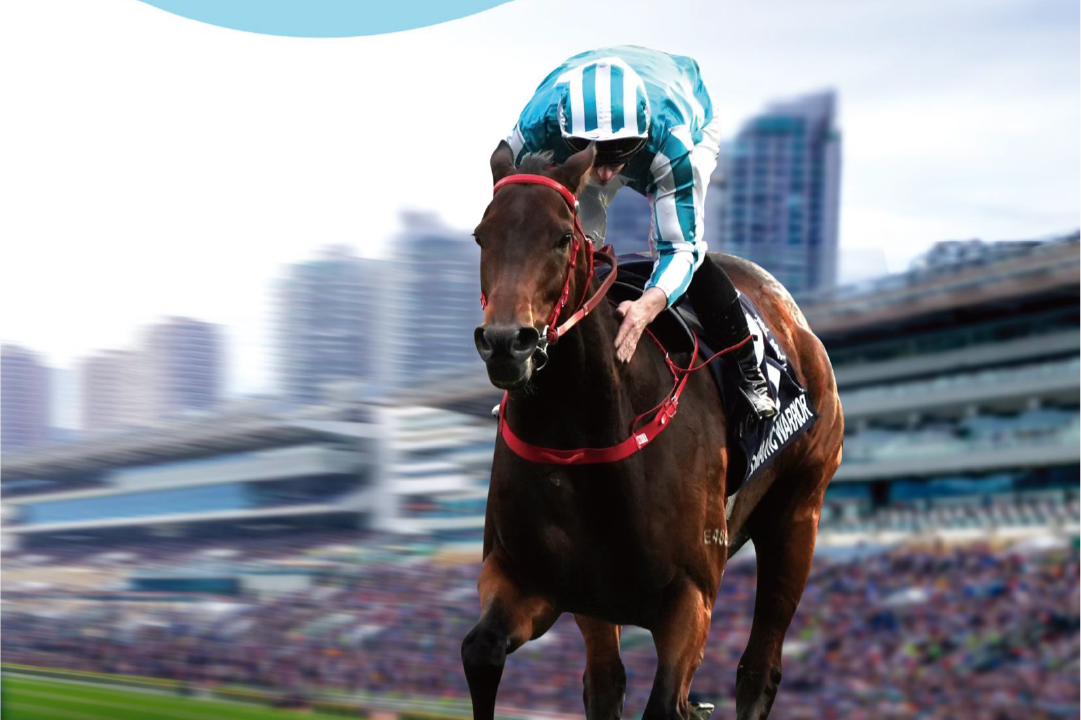 [FREE PROGRAMS] Sha Tin - April 11