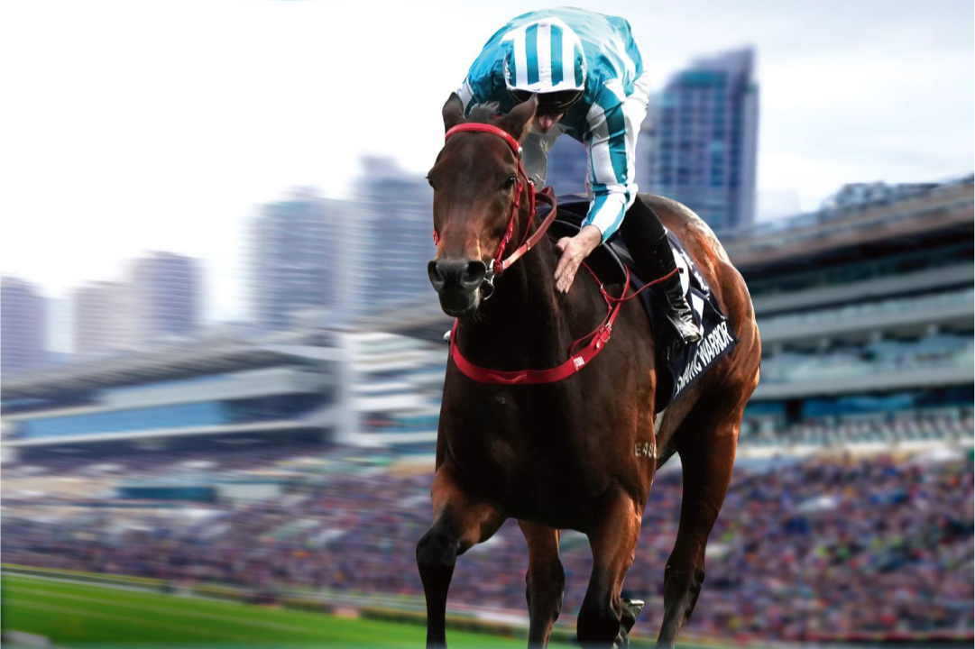 [FREE PROGRAMS] Sha Tin - May 8