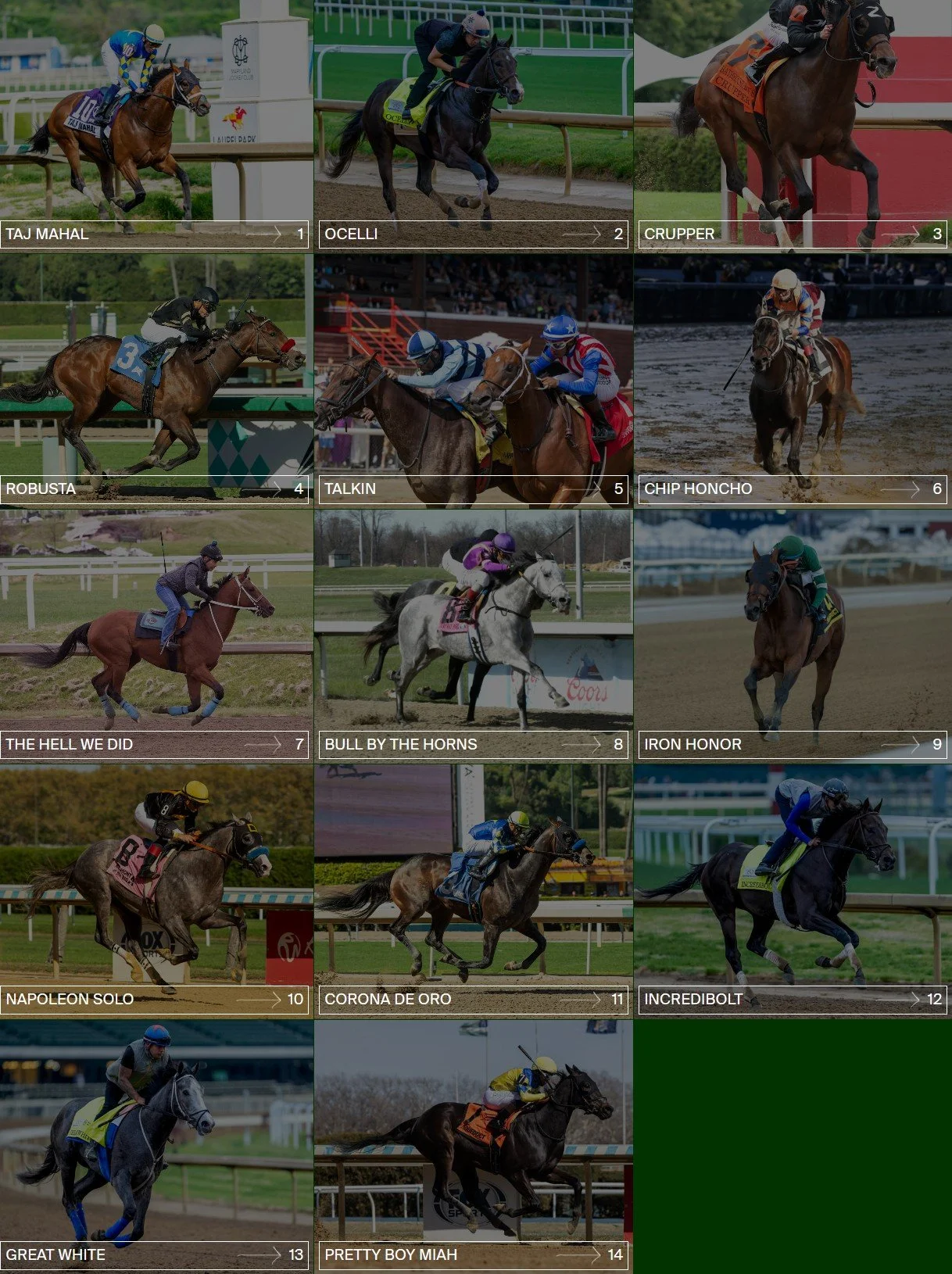 The Preakness 151 Post Positions