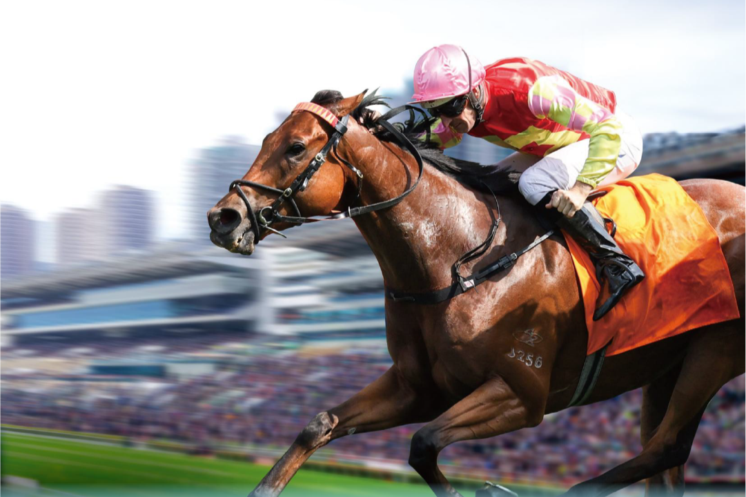 [FREE PROGRAMS] Sha Tin - May 16