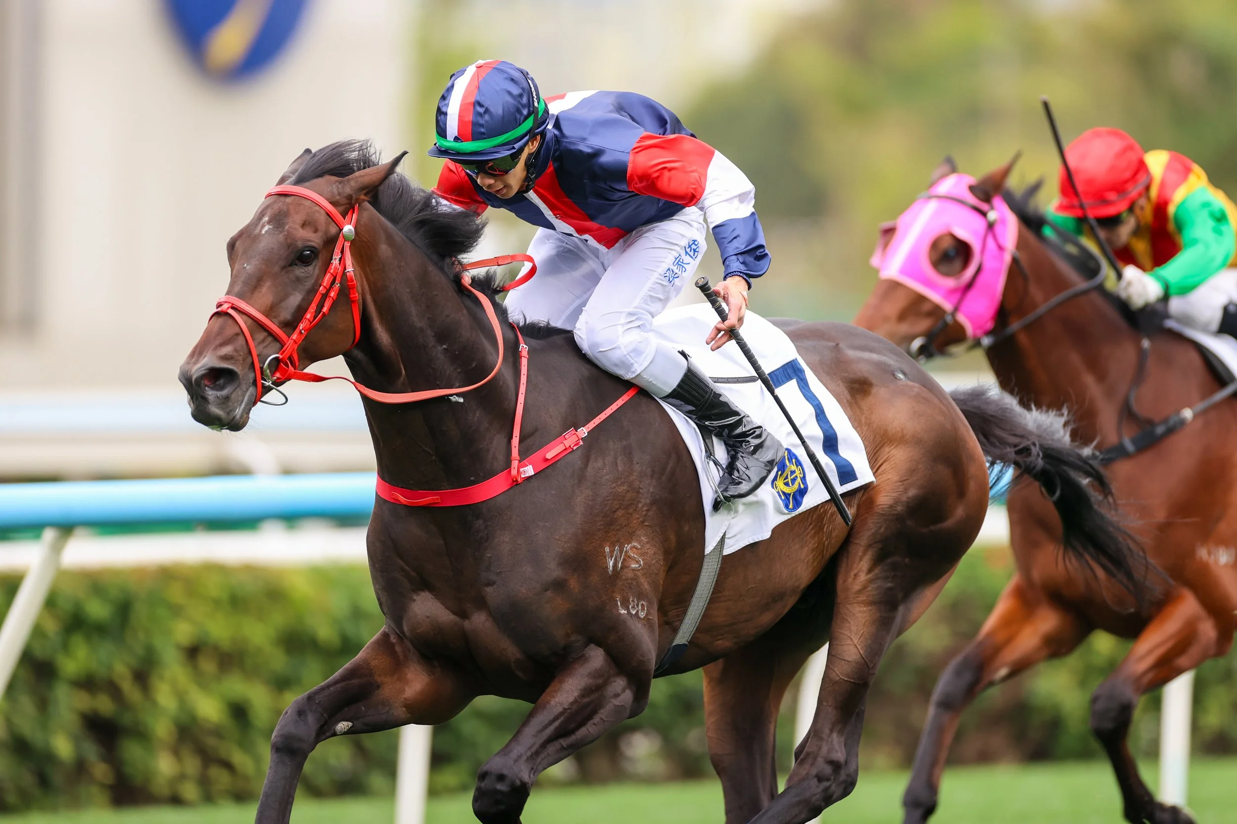 The Gift that Keeps on Giving -looking ahead to the upcoming Hong Kong Standard Chartered Champions &amp; Chater Cup