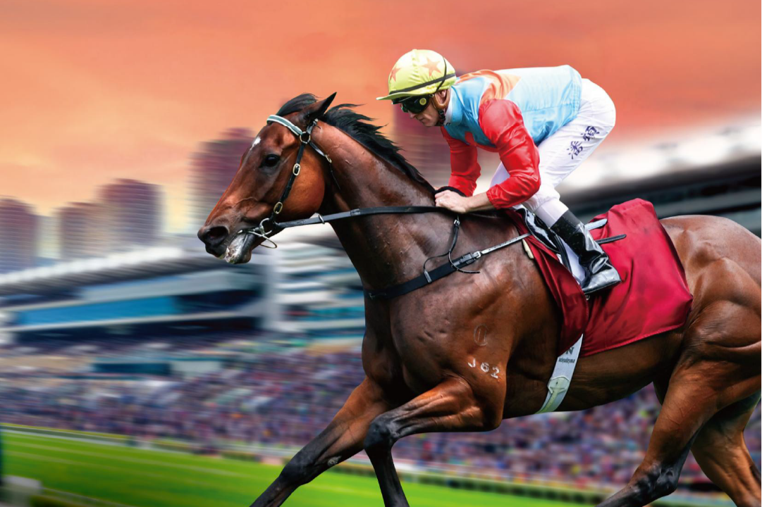 [FREE PROGRAMS] Sha Tin - June 7
