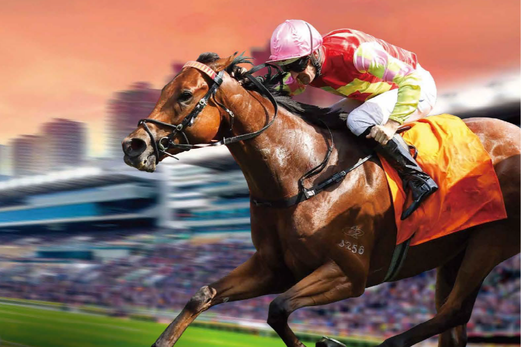 [FREE PROGRAMS] Sha Tin - June 21