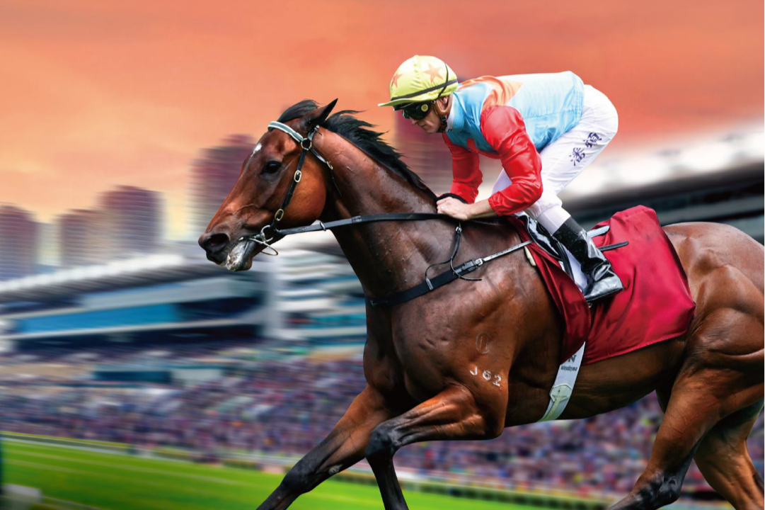 [FREE PROGRAMS] Sha Tin - June 27