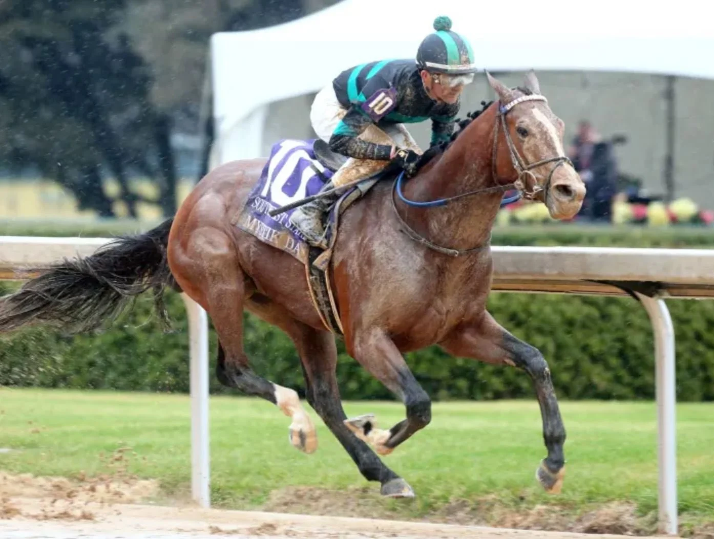 Handicapping Contest - Prince George (September 19)